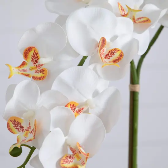 Nearly Natural Double Orchid Artificial Floral Arrangement in Mexican Talavera Planter - 26" White {6}