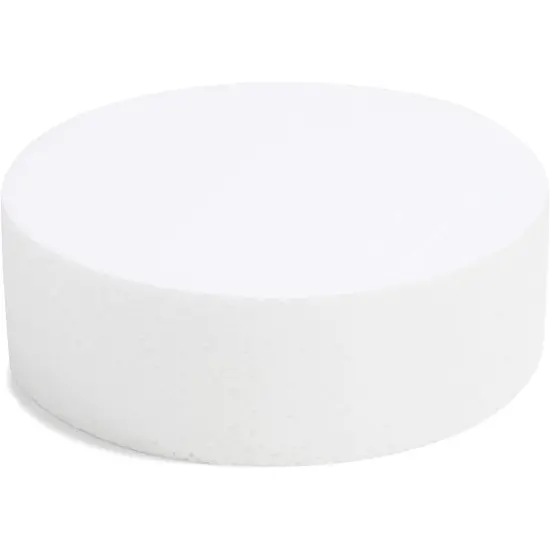 Craft Foam Disk, Blank Circles for DIY and Art (6 x 6 x 2 in, 6 Pack) White {4}