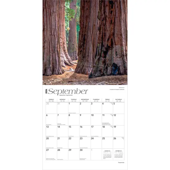 Yosemite | 2026 12 x 24 Inch (Hanging) Monthly Square Wall Calendar | Plastic-Free {4}