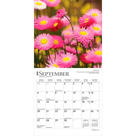 Wildflowers | 2026 7 x 14 Inch (Hanging) Monthly Mini Wall Calendar {4}