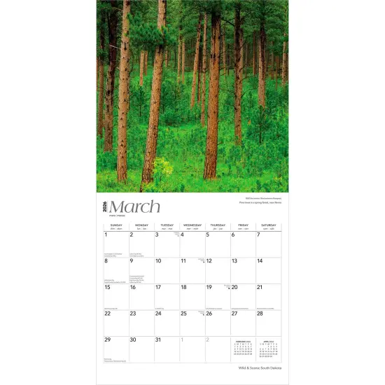 South Dakota Wild & Scenic | 2026 12 x 24 Inch (Hanging) Monthly Square Wall Calendar | Plastic-Free {3}