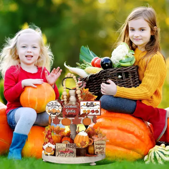 13 Pcs Fall Tiered Tray Decor with Two Tiered Tray {3}