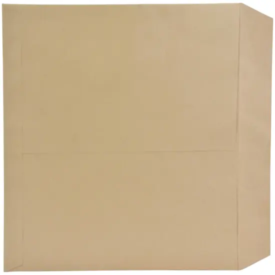 School Smart Natural Kraft Catalog Envelope, 9 x 12 Inches, Kraft Brown, Box of 100 {1}