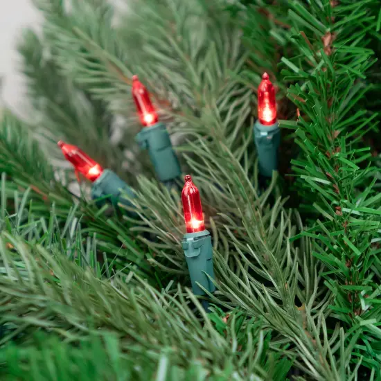 Northlight LED Mini Christmas Lights - Red - 33' Green Wire - 100ct {5}