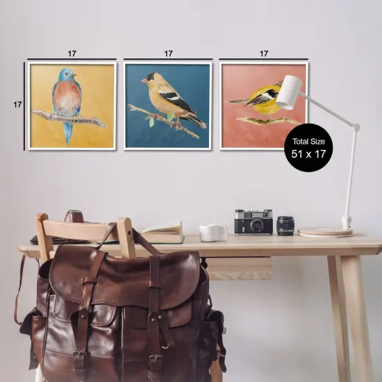 Stupell Industries Brilliant Birds on Branches 3 pc Framed Giclee Wall Art Set Design by Lanie Loreth {3}