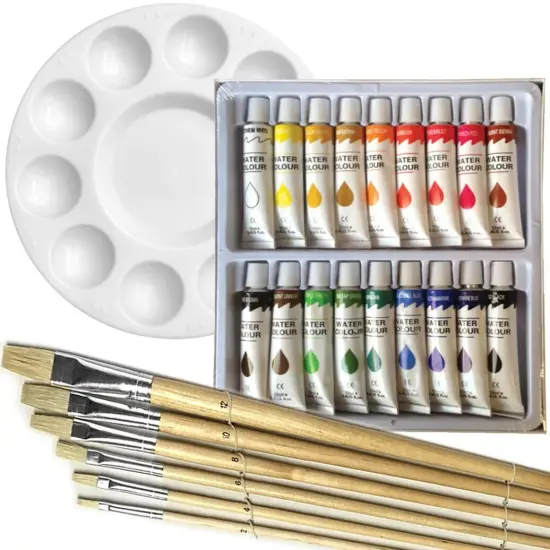 18 WATERCOLOR COLOR Painting Paint Set + 6 Brush Set w/ ROUND Palette Artist SET {1}