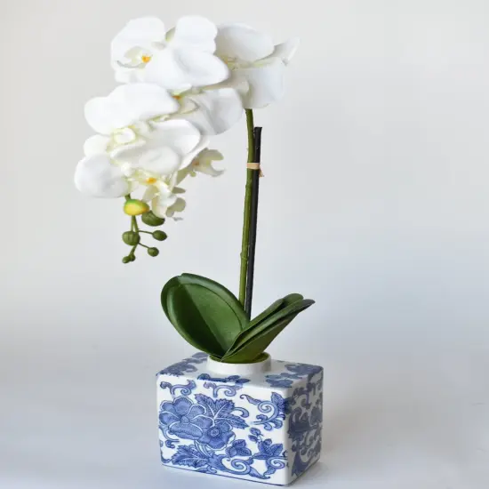 22" Faux Phalaenopsis Orchid in Blue/White Container - 1OR {6}