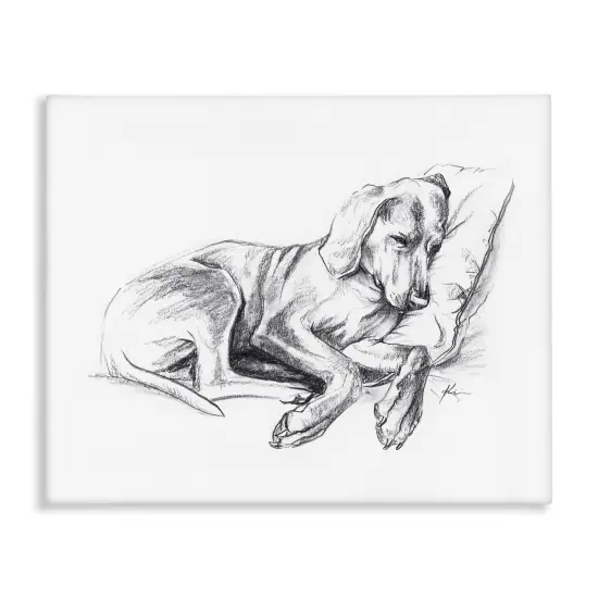 Stupell Industries Napping Dog Drawing Canvas Wall Art Design by Lindsay Kivi Fine Art {1}