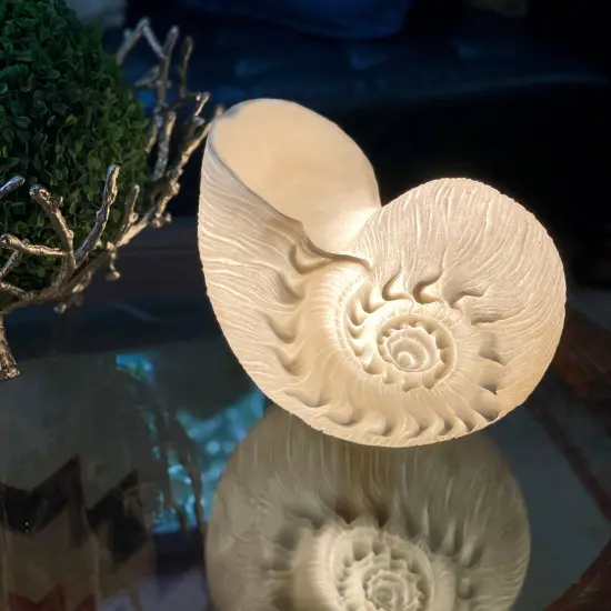 White Sandstone Finish Frilled Nautilus Shell Accent Lamp 10 Inches High {5}