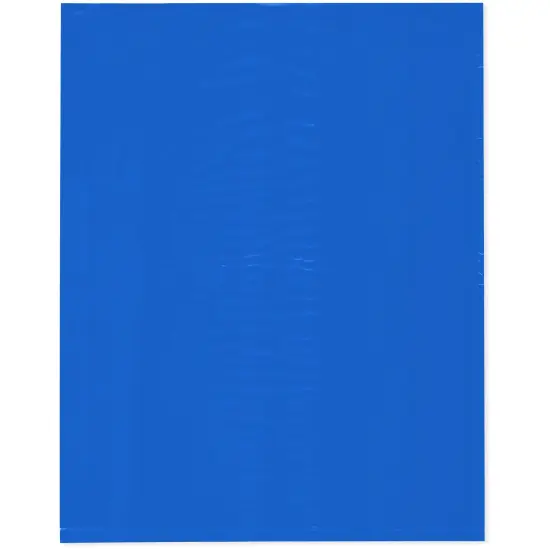Plymor 12" x 15", Blue 2 Mil Flat Open Plastic Poly Bags {1}