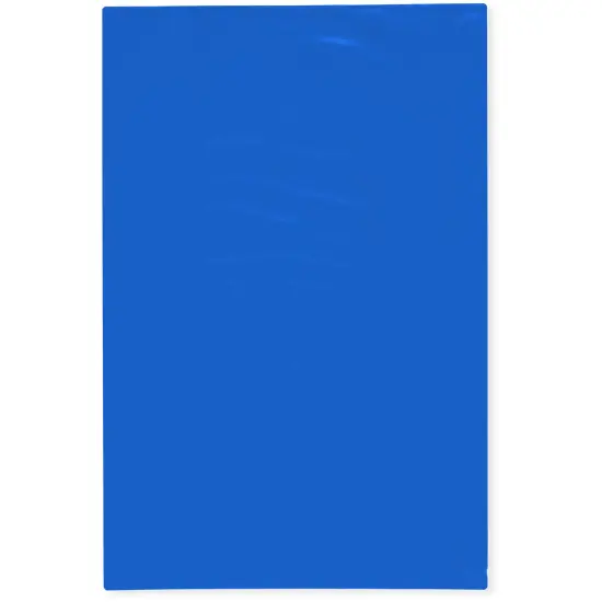 Plymor 6" x 9", Blue 2 Mil Flat Open Plastic Poly Bags {1}