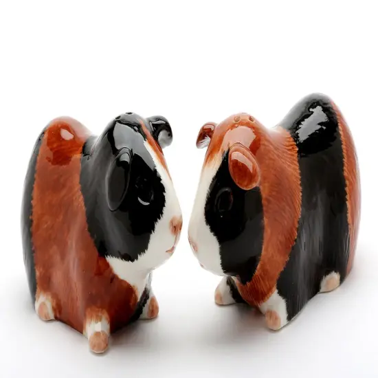 Hand Painted Ceramic Guinea Pig Salt & Pepper Shakers, Home D&eacute;cor, Gift for Her, Gift for Mom, Kitchen D&eacute;cor {3}