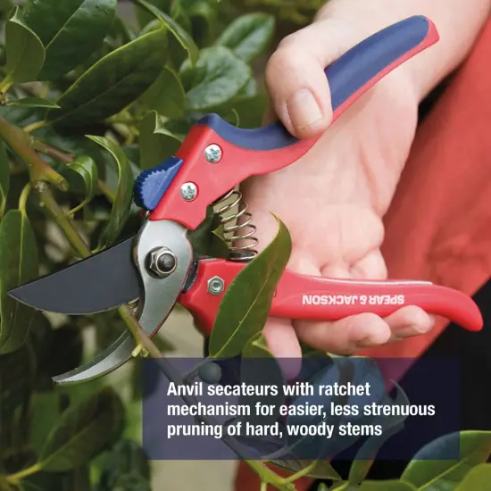 Spear & Jackson Razorsharp Bypass Pruning Shears, SK5 Carbon Steel Blades, Coated for Corrosion Resistance, Ergonomic Handles for Comfortable Use {5}