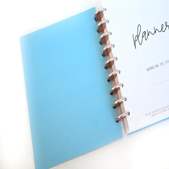 2025 Planner - Mini Horizontal Layout, Disc Bound - "Cool Hues" (#1008) {5}