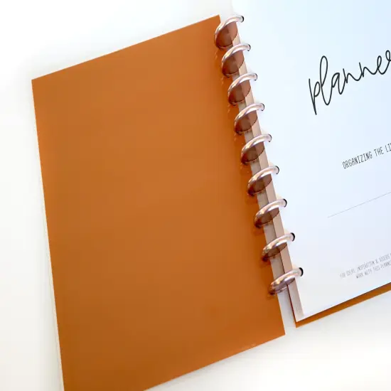 2025 Planner - Mini Horizontal Layout, Disc Bound - "Golden Leaves" (#1007) {3}