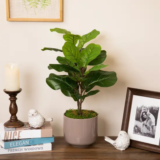 Northlight Two-Tone Fiddle Leaf Fig Artificial Potted Plant - 26" - Green {1}