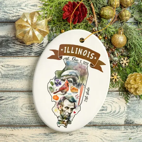 Artistic Illinois State Themes and Landmarks Christmas Ornament {2}