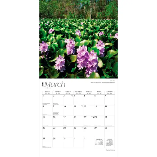 Florida Nature | 2026 12 x 24 Inch (Hanging) Monthly Square Wall Calendar | Plastic-Free {3}