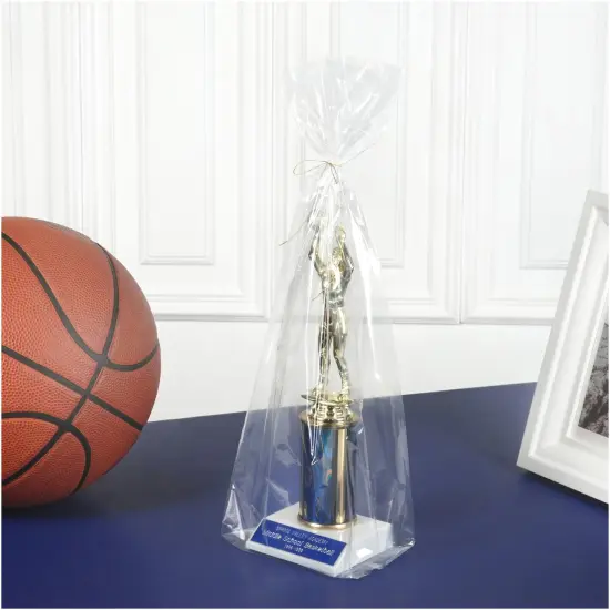 Plymor 5" x 4" x 18" (Pack of 100), 1 Mil Gusseted Plastic Bags {5}