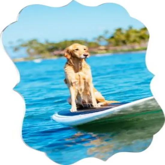 ChromaLuxe Gloss White Metal Print Desk Beneluxe 5.38x7.24&rdquo; .045" 10 /Pack 4268 {2}