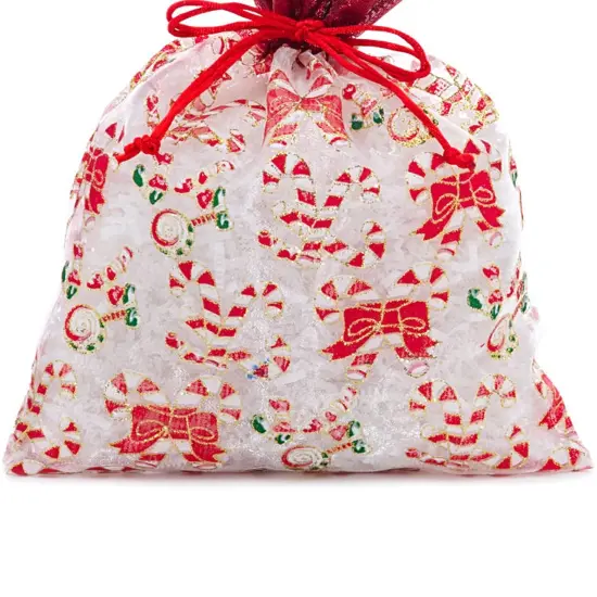 Candy Canes Christmas Bag with Red Ribbon 8&rdquo; x 10&rdquo; {4}