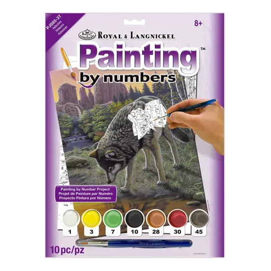 PJS85 | Painting by numbers&trade; 10pc 8.75" x 11.375" Reflections Painting Project {1}