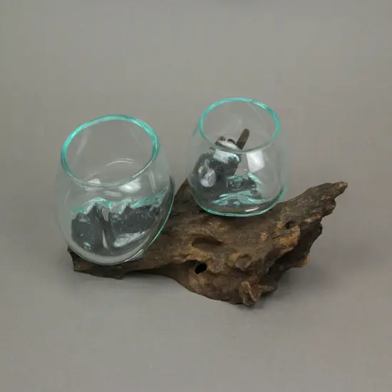Molten Glass On Coffee Wood Root Double Decorative Bowl Vase Plant Terrarium {5}