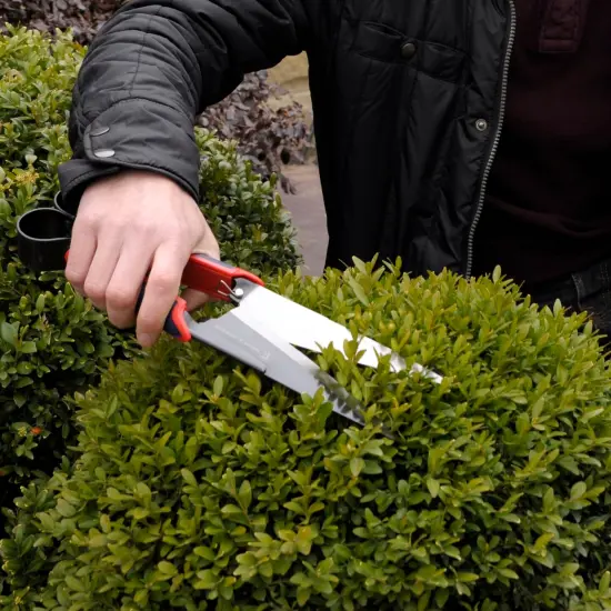 Spear & Jackson Razorsharp Topiary Shears &ndash; Precision Garden Shears for Pruning, Shaping, and Trimming Plants {5}