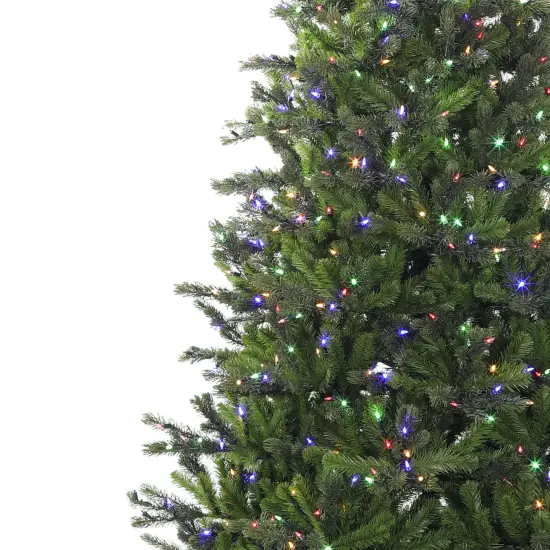 Carolina Pine Christmas Tree Prelit Clear+ Multi LED - HOLIDAY TREE {5}