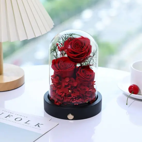 Preserved Rose in Glass Dome with LED Gifts for Her {2}