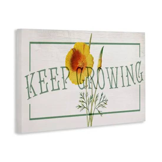 Stupell Industries Keep Growing with Poppy Canvas By Lil' Rue {3}