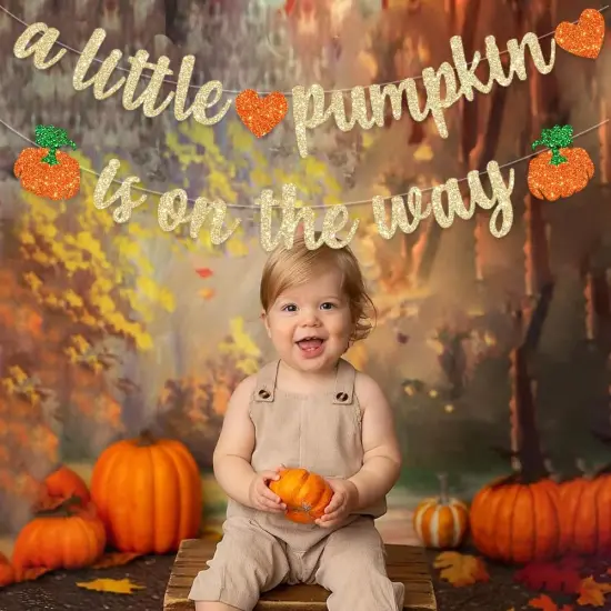 Pre-Strung Pumpkin Fall Baby Shower Banner Decorations {2}