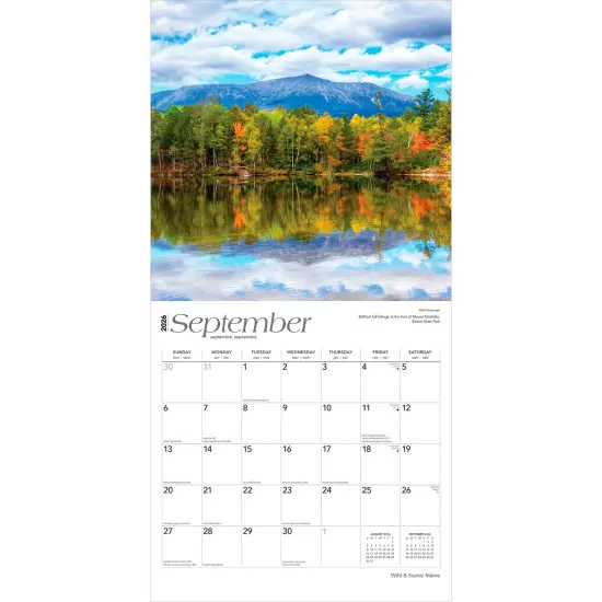 Maine Wild & Scenic | 2026 12 x 24 Inch (Hanging) Monthly Square Wall Calendar | Plastic-Free {4}