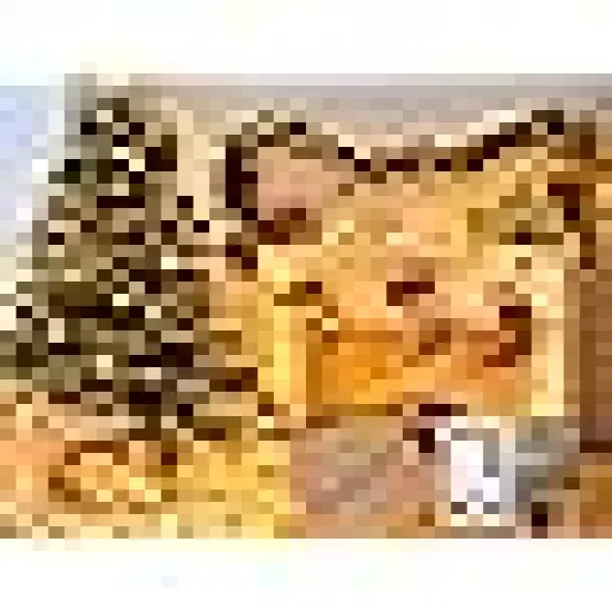 Christmas Firecrackers String Lights {6}