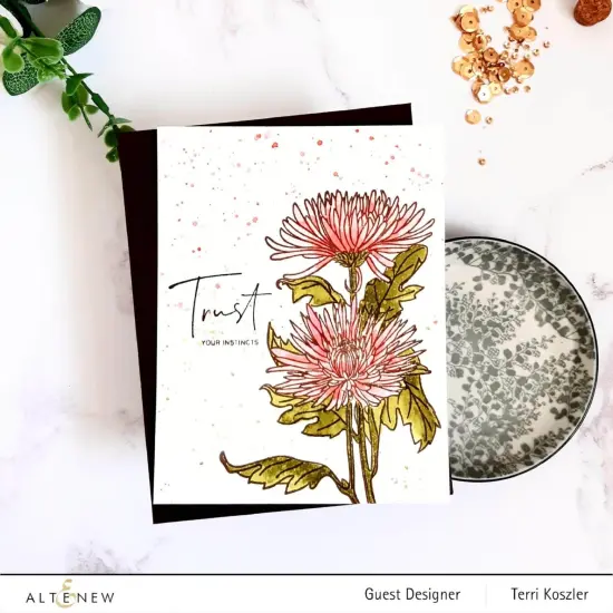 Paint-A-Flower: Spider Mums Outline Stamp Set {6}