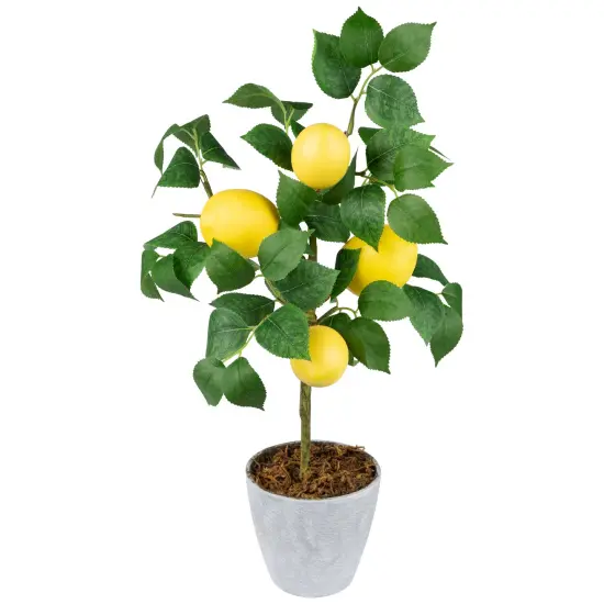 Northlight Artificial Potted Mini Lemon Tabletop Tree - 20" Yellow {4}