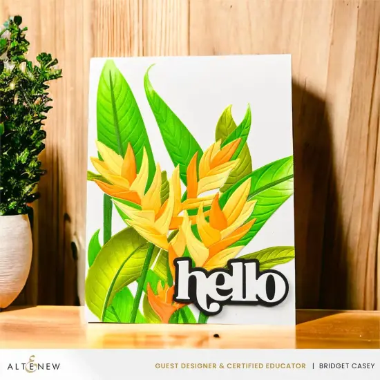 Charming Heliconia {3}