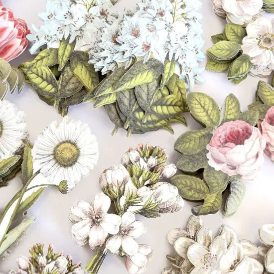 120 Botanical Engravings Stickers {6}