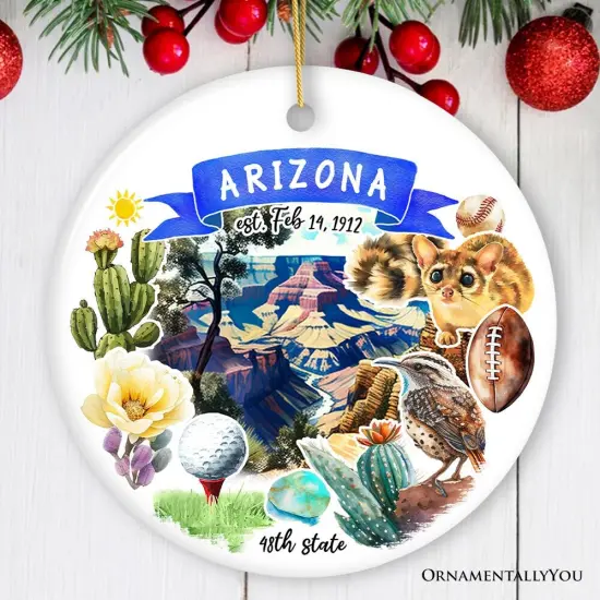 Artistic Arizona State Themes and Landmarks Christmas Ornament {1}