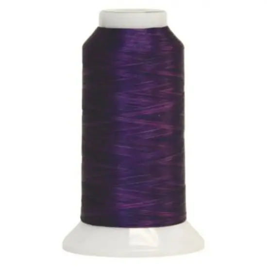 5049 Dynasty Fantastico Variegated Polyester Thread {1}