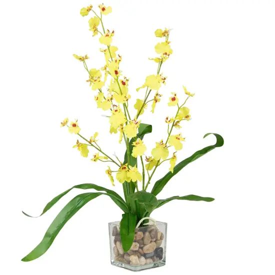 Northlight 23.5" Yellow Potted Artificial Oncidium Orchid Flower Plant Green {5}