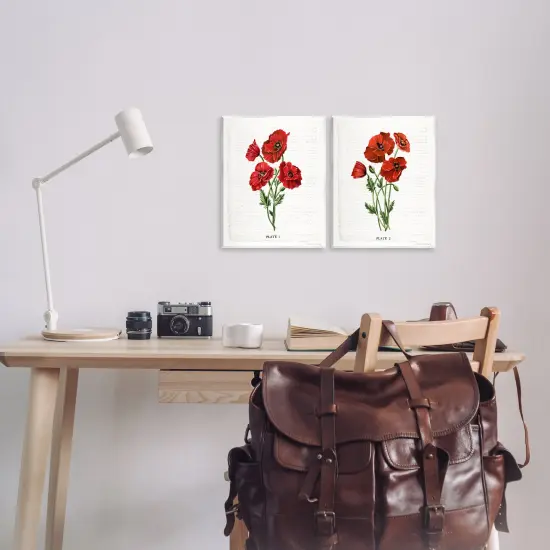 Stupell Industries Poppy Bunch Studies 2pc Wall Plaque Set By Danielle Murray {2}