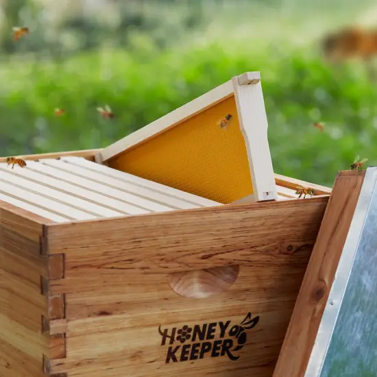 Honey Keeper 10-Pack Unassembled Beehive Frames with Natural Beeswax Foundations for Beekeeping, Medium Super - 6-1/4 inch Yellow {5}