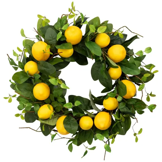 Northlight Lemons and Assorted Foliage Spring Wreath - 20" - Yellow {3}