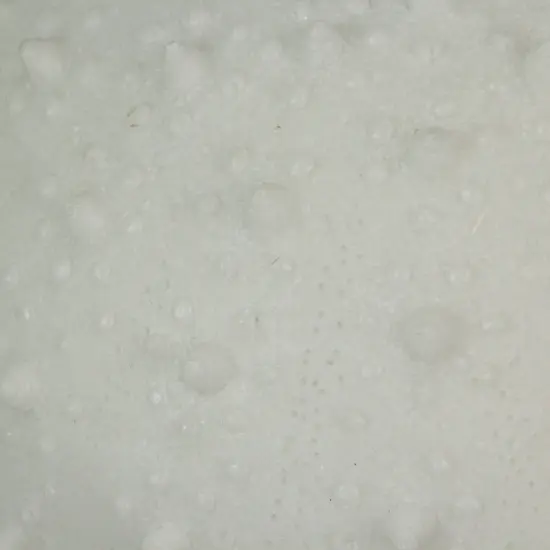 8.5" Resin LED Sea Urchin Accent Lamp - Nautical Decor {4}