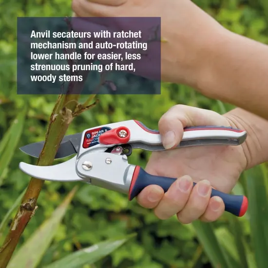 Spear & Jackson Razorsharp Ratchet Anvil Pruners with Twist Handle, Ergonomic High-Carbon Steel Blades for Effortless Pruning {6}