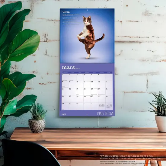 Chats de Yoga OFFICIEL | 2026 12 x 24 Inch (Hanging) Monthly Square Wall Calendar | French Language {5}