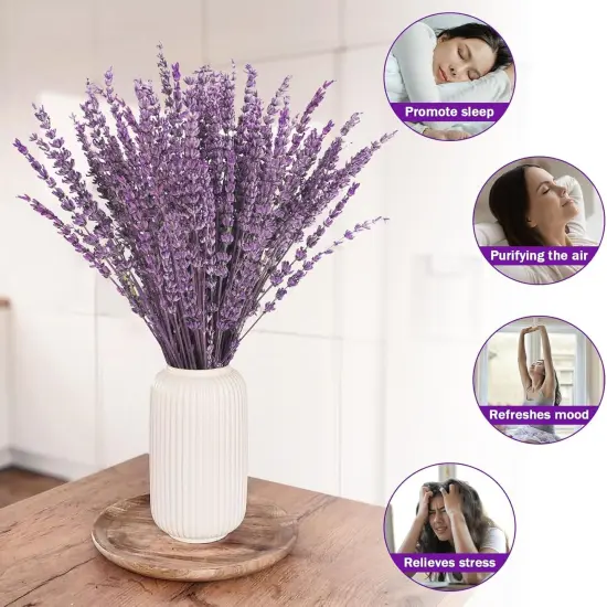 Dried Lavender Flowers, 16" Dried Lavender Bundles Dried Purple Preserved Lavender Bouquet for Shower Weeding Home Fragrance Vase Crafts Decor, 50g (1.76oz) {2}