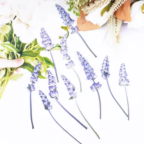 50Pcs Lavender Dried Pressed Flowers for Crafts,Xinxinran Dry Flowers Kit for Wedding Invitation,Resin Molds Bookmark,Jewelry Molds,Candle Making Supplies,Soap,Frame,Cakes {4}