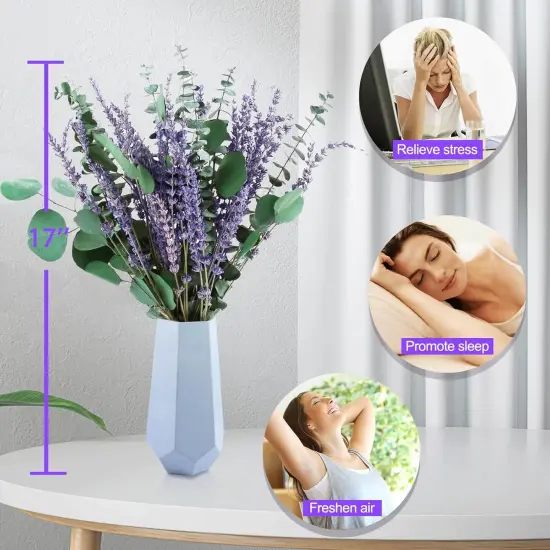 80 PCS Large Dried Preserved Eucalyptus Stems & Lavender Flowers Bundle for Shower, 17'' Real Fresh Hanging Silver Dollar Leaves, Aromatic Self-Care Shower Plants, Natural Fragrance, Home Decor {5}
